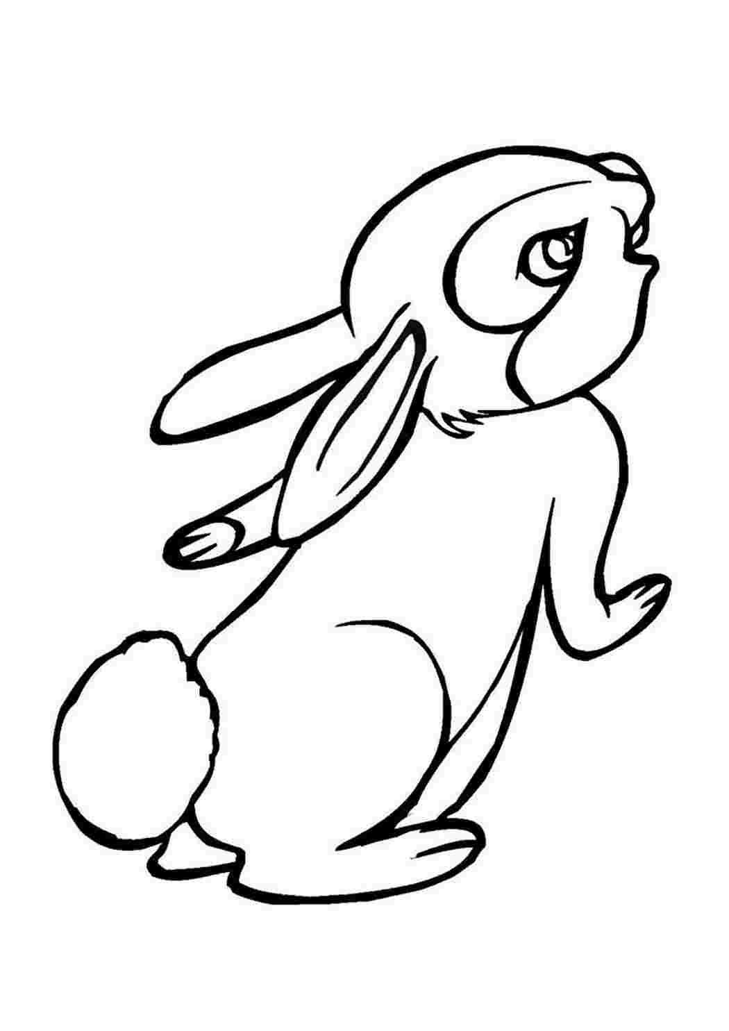 Раскраска Розфарбування тварини кролик. Розфарбування для друку.