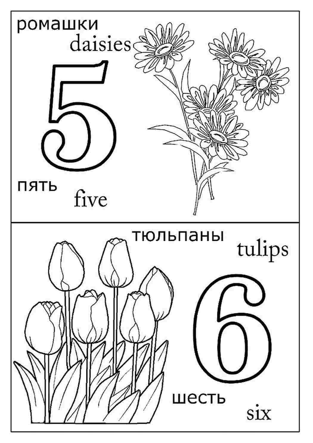 Раскраска Розмальовка для 1 класу. Розмальовки.