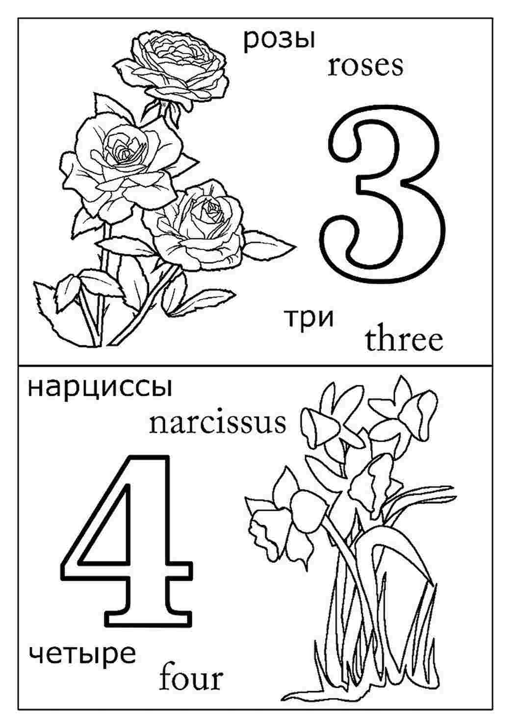 Раскраска Розмальовка для 1 класу. Безкоштовно знайти розмальовку.