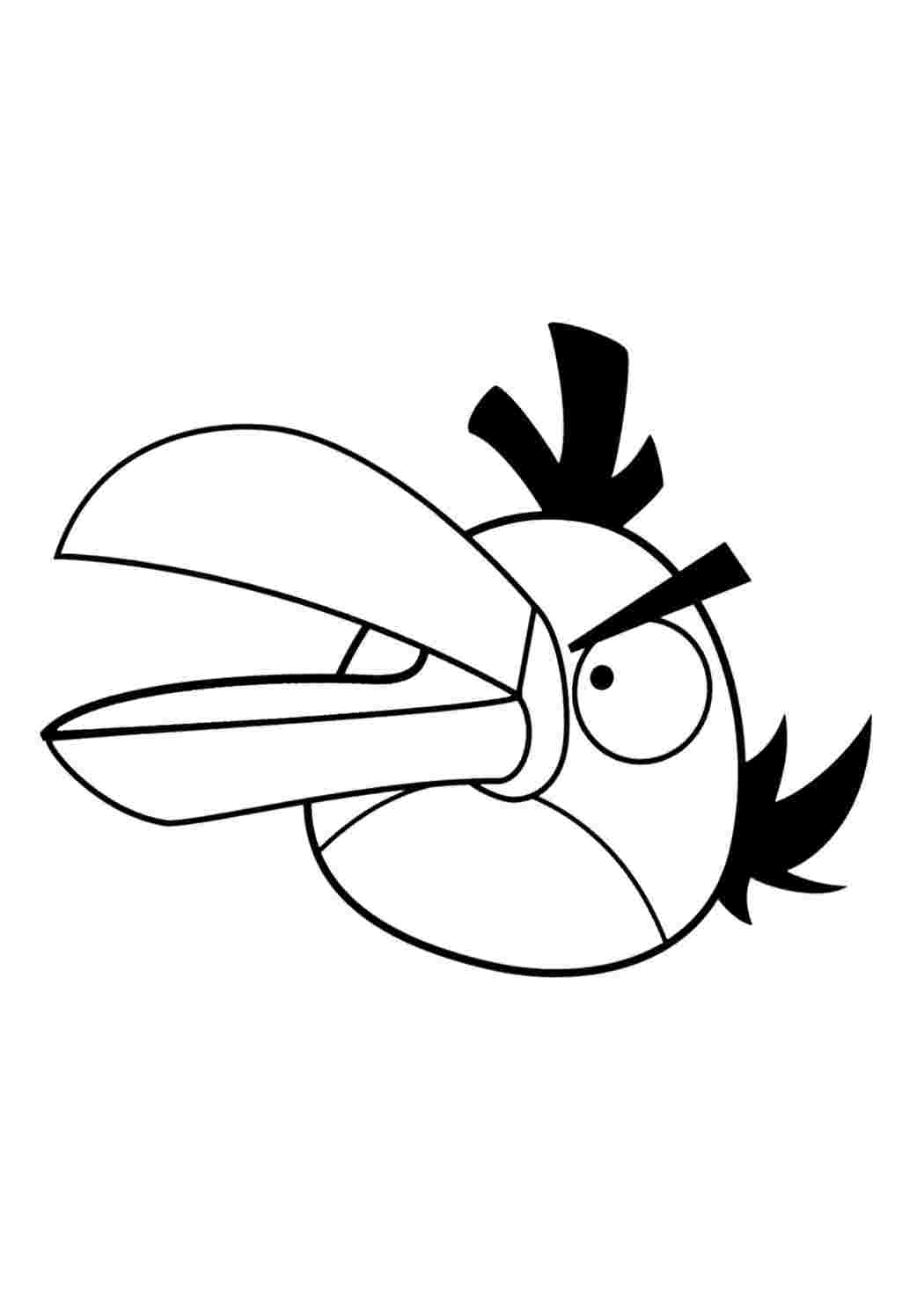 Раскраска Розфарбунки Angry Birds для малюків. Сайт з розфарбовками.