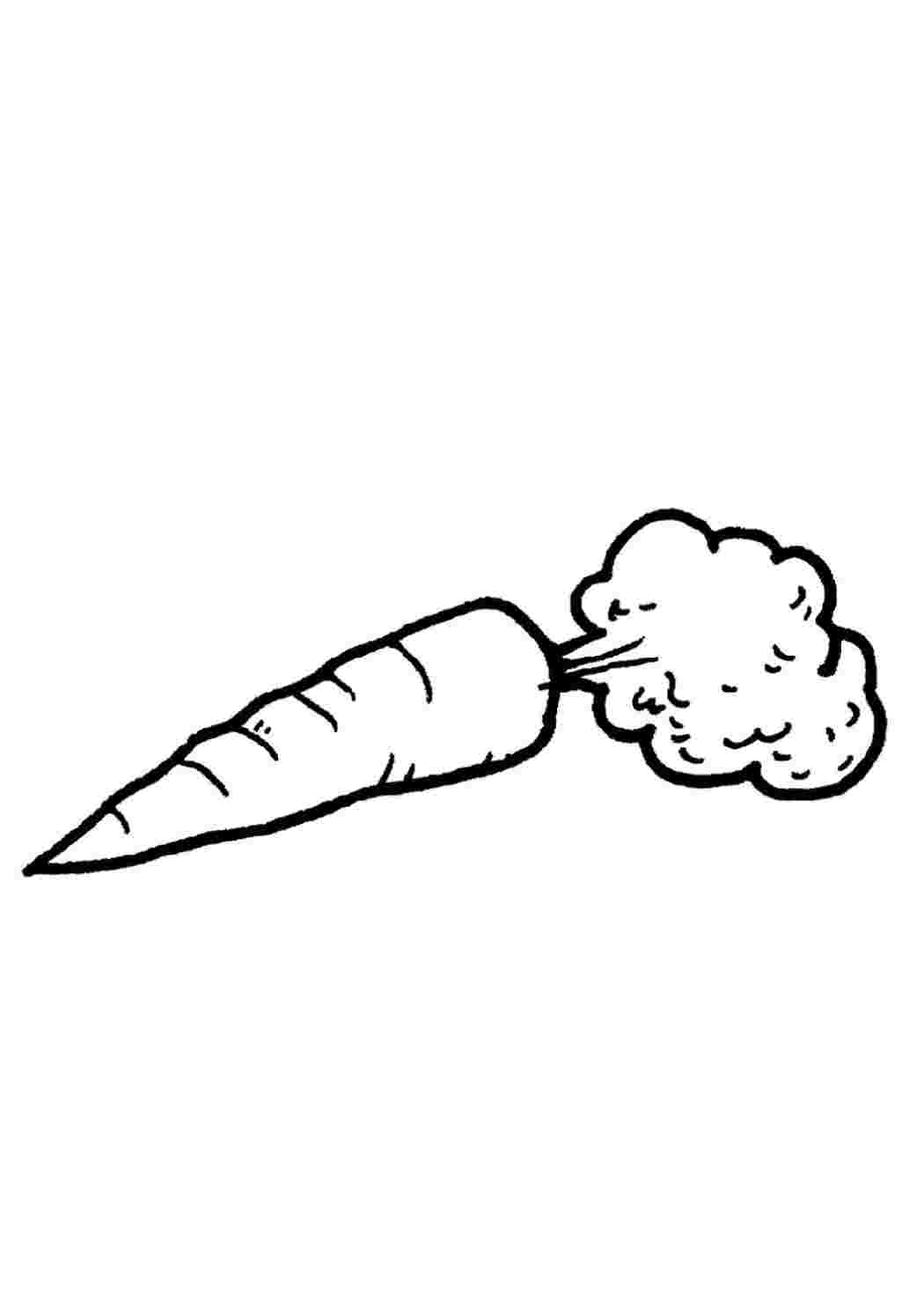 Раскраска Розфарбування для дітей "Морква". Розфарбування без реєстрації.