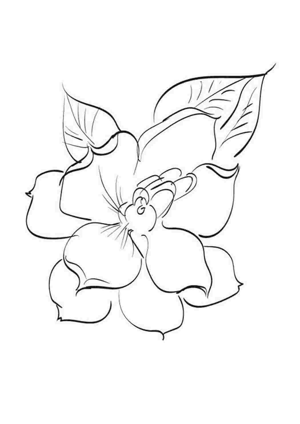 Раскраска Розфарбунки природа. Найкращі розфарбунки.