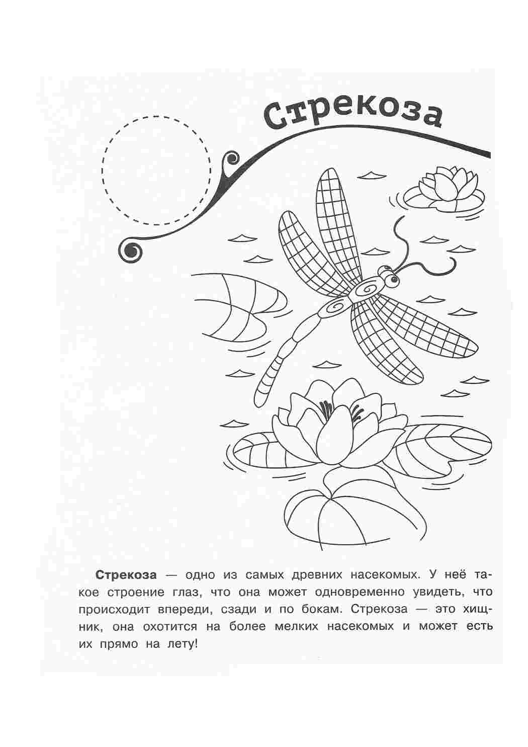 Раскраска Розфарбунки природа розмальовка став. Онлайн розмальовки.