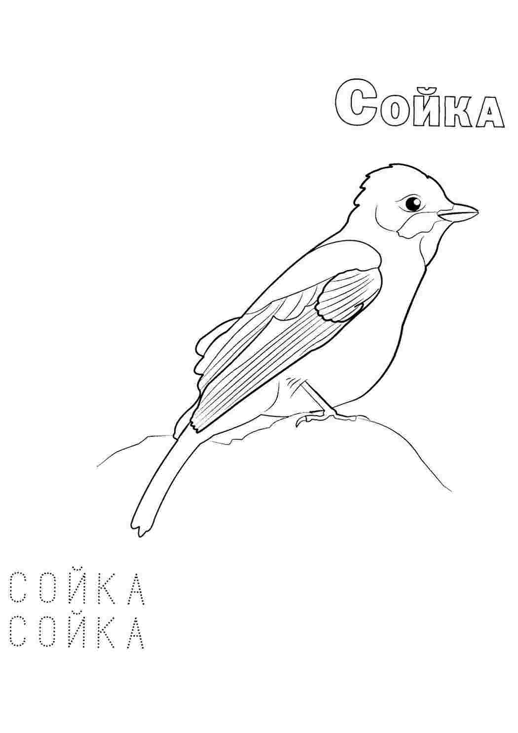 Раскраска Розфарбунки тварин. Безкоштовні розфарбунки.