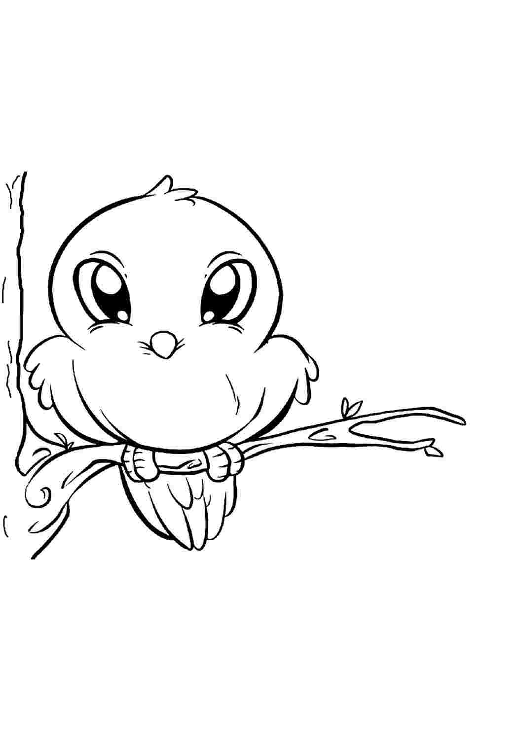 Раскраска Розфарбунки птахів для хлопчиків. Розмальовки.