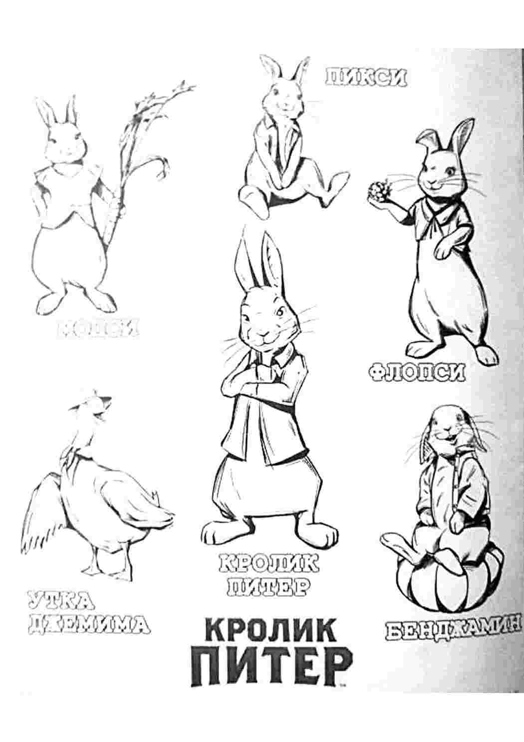 Раскраска Розфарбування з мультфільмів, розфарбування кролик Пітер. Розфарбування без реєстрації.
