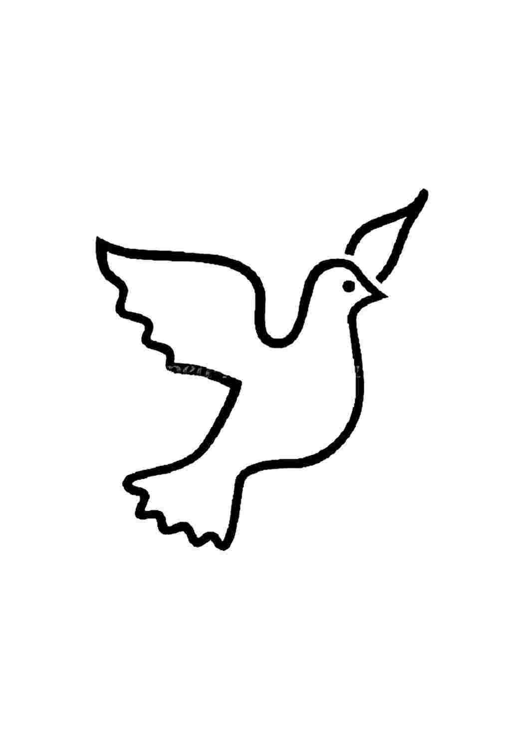 Раскраска Розфарбування голуб миру. Завантажити розмальовки безкоштовно.