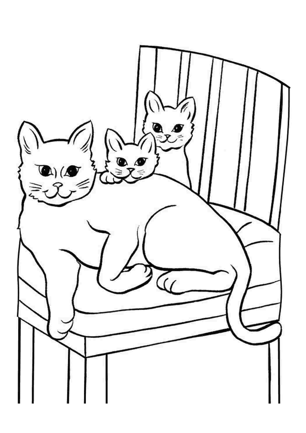 Раскраска Тварини котики. Розвиваючі розмальовки.