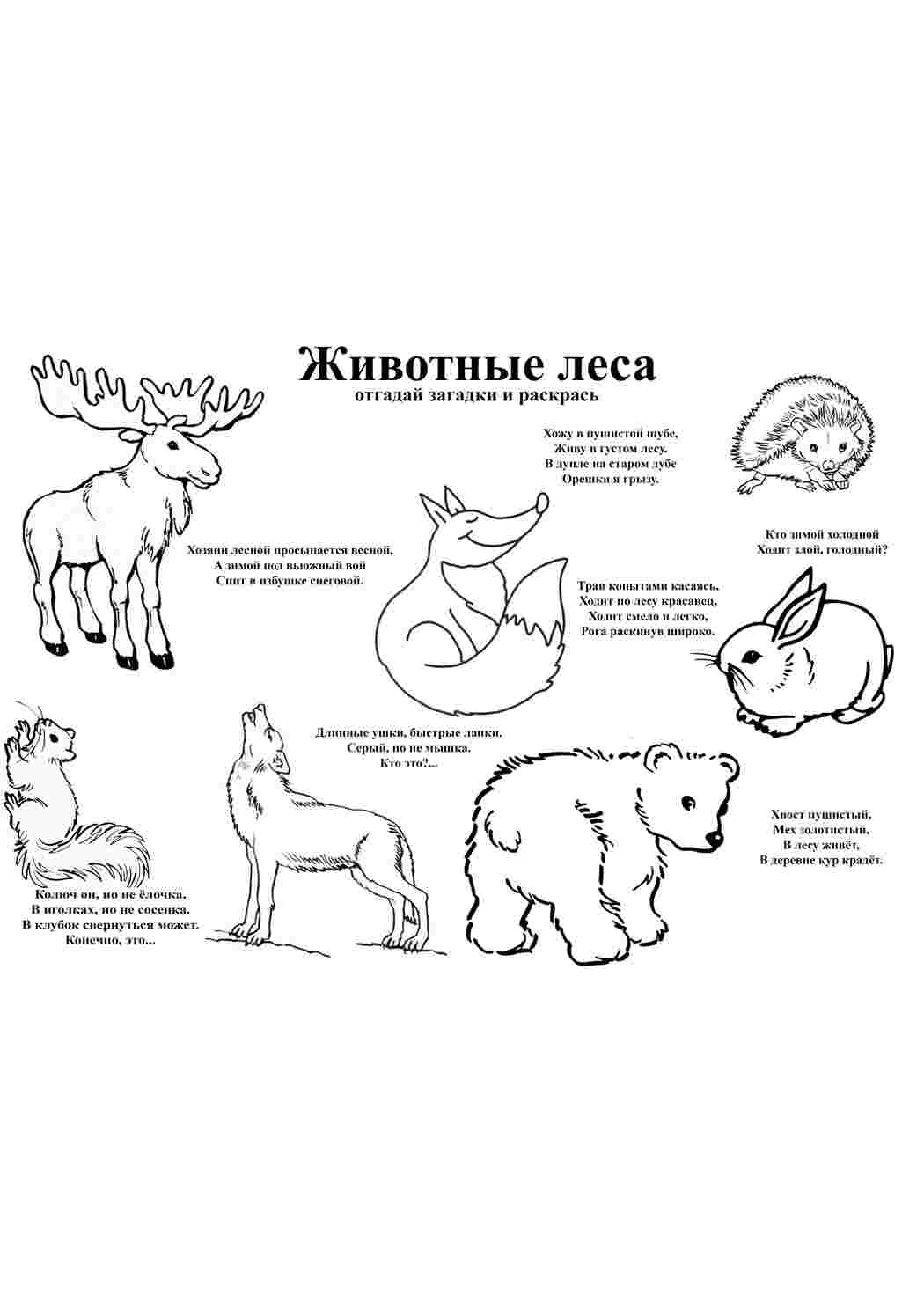 Раскраска Розфарбунки із загадками. Розфарбунки.