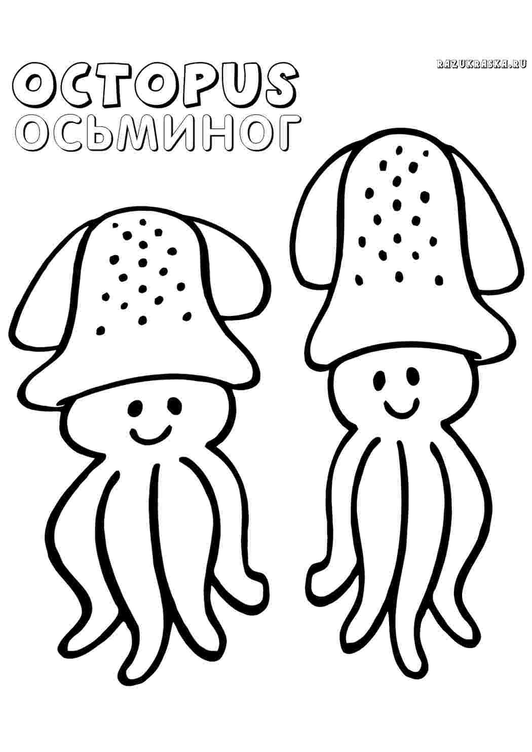 Раскраска Восьминог. Розмальовки.