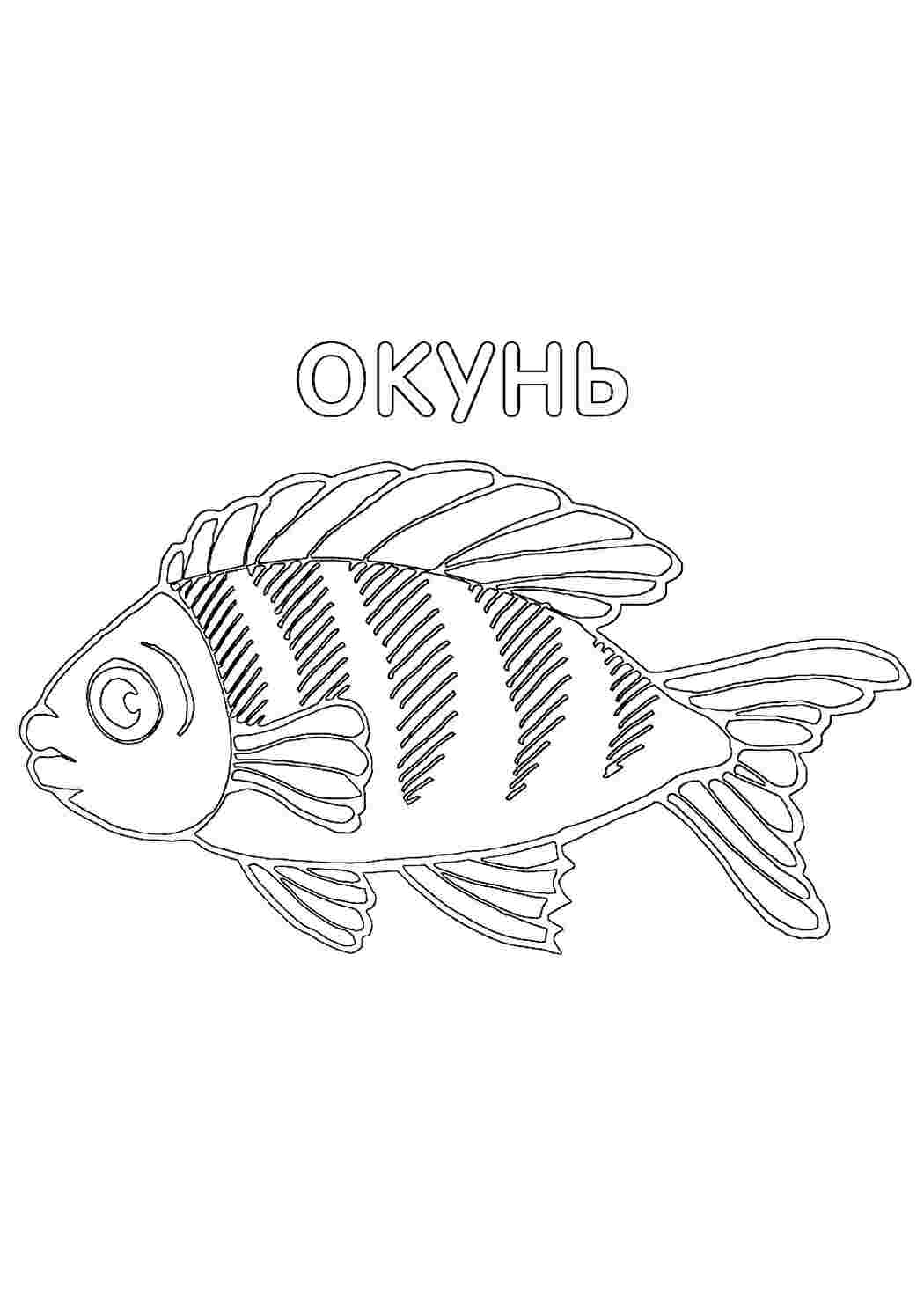 Раскраска Розфарбування тварини розмальовка окунь. Розмальовки без СМС.
