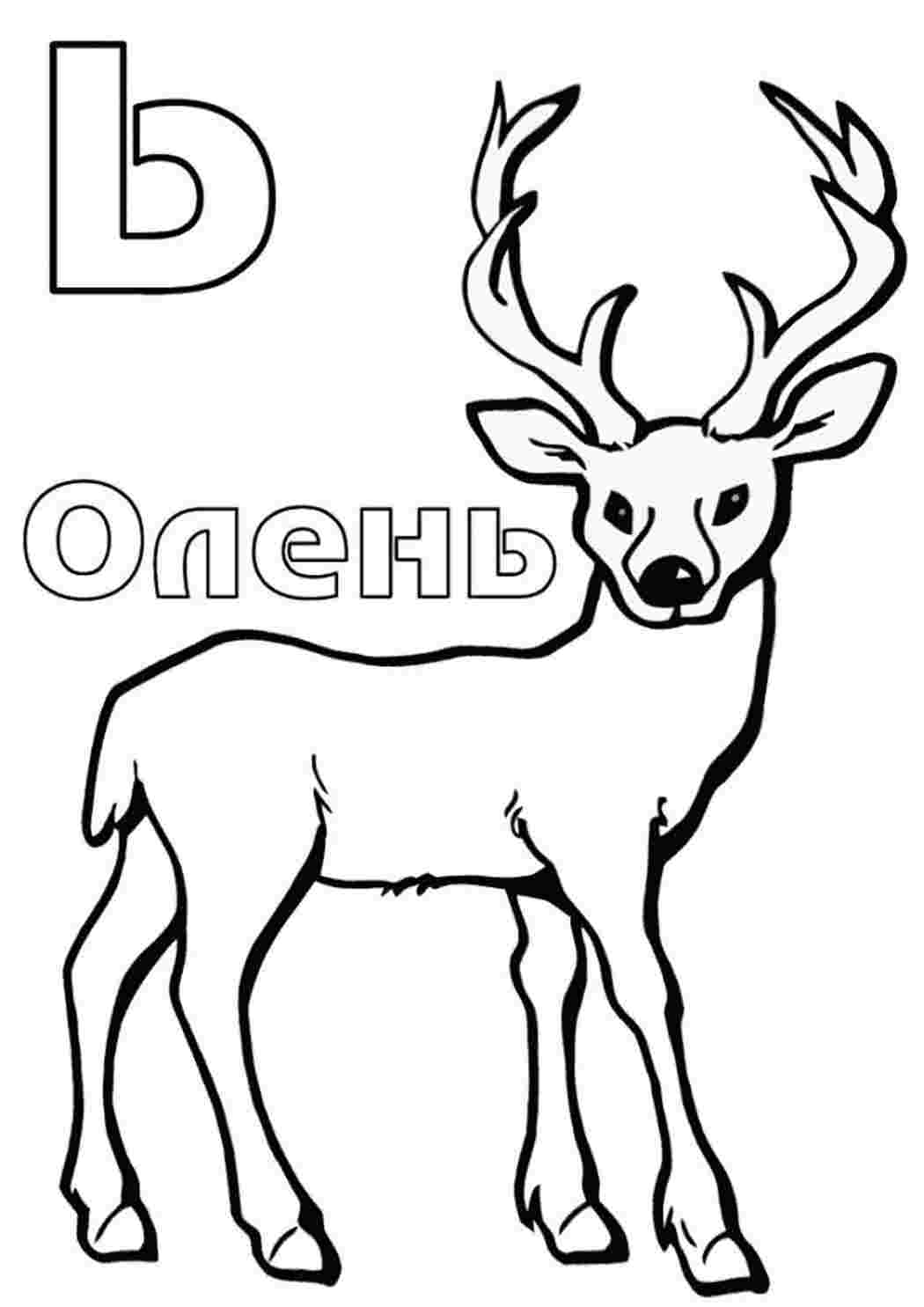Раскраска Буква м'який знак "Ь" олень. Безкоштовно знайти розмальовку.