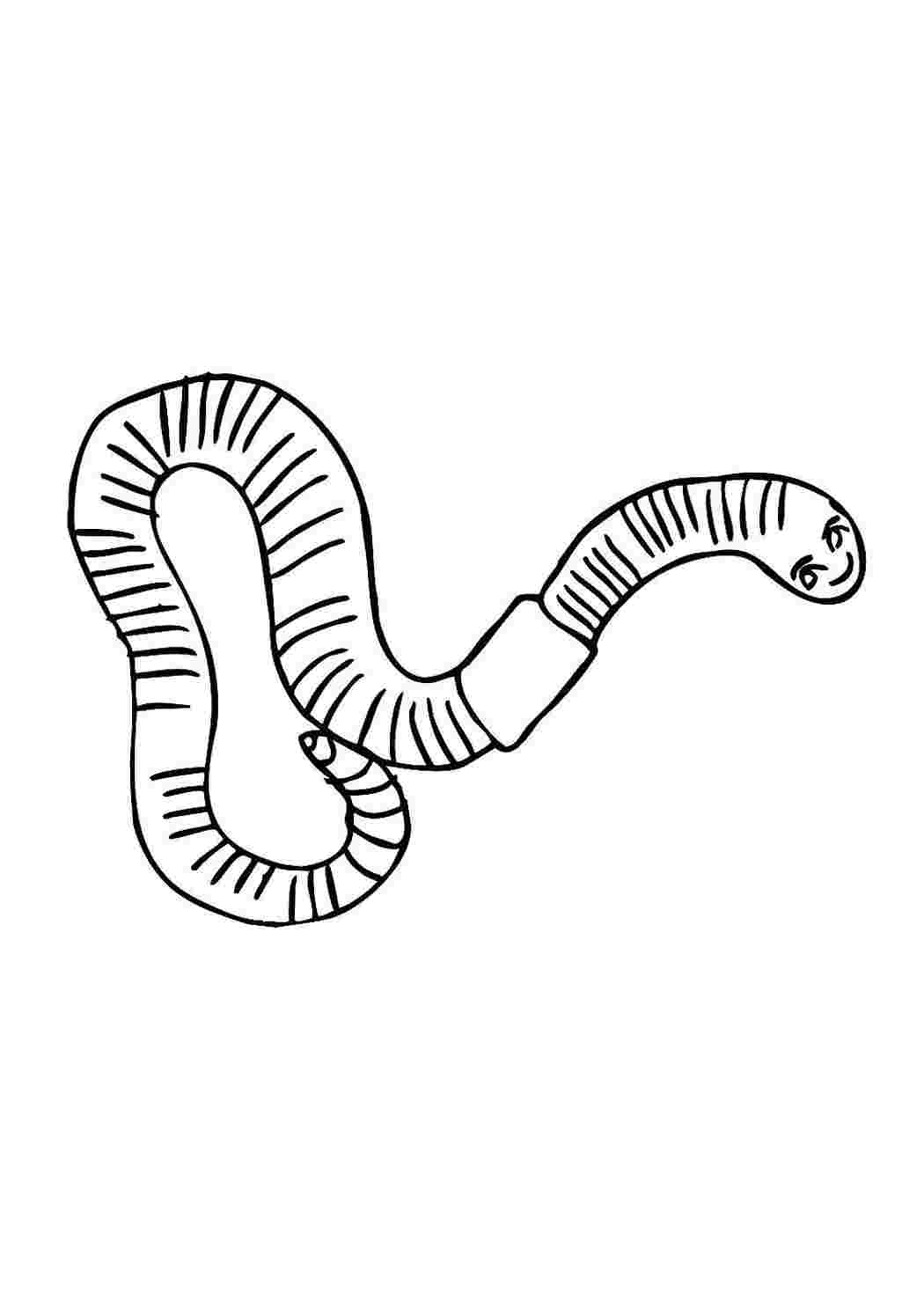 Раскраска Розфарбування тварини розмальовка черв'як. Розфарбовувати онлайн.