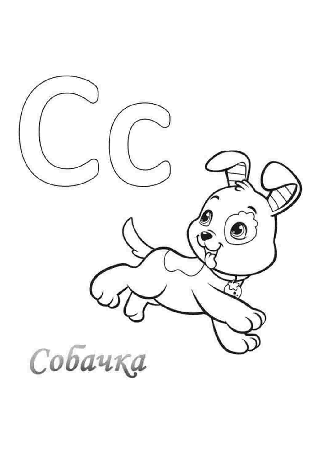 Раскраска Літера "С" - песик. Цікаві розмальовки.