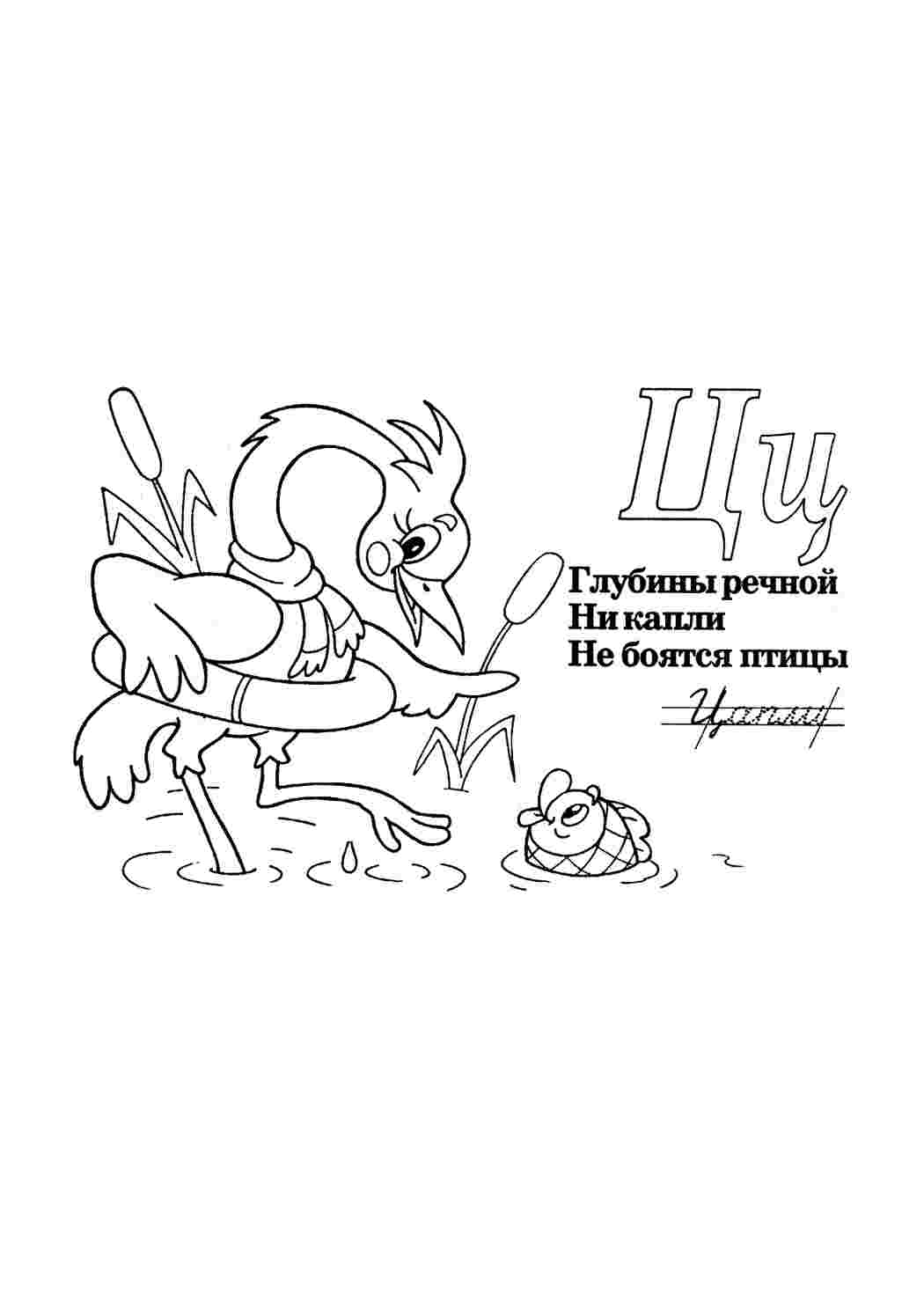 Раскраска Розфарбунки букви цифри алфавіт розмальовка буква ц. Розмальовки.