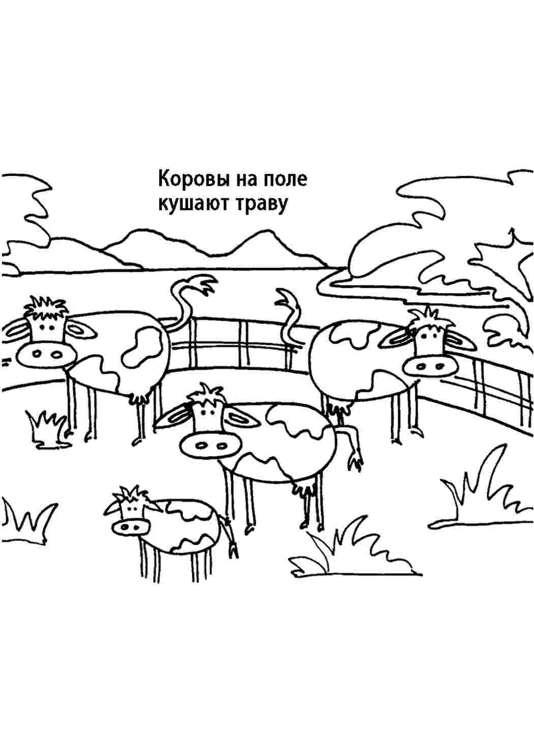 Раскраска Природа. Розмальовки.