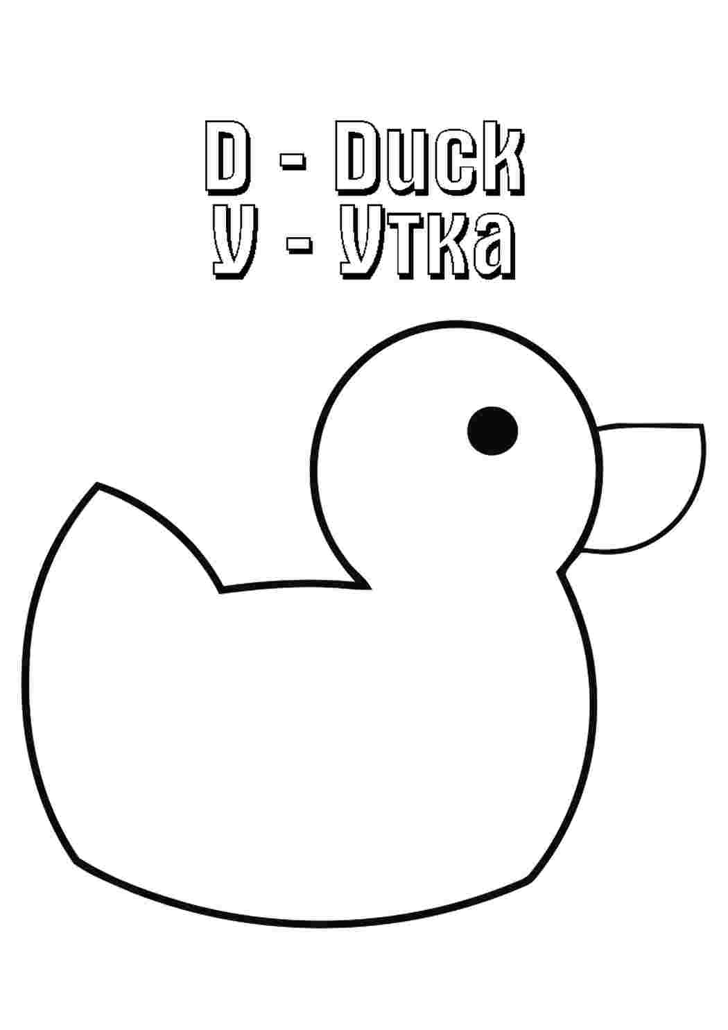 Раскраска Невеличка природа. Гарні розмальовки.