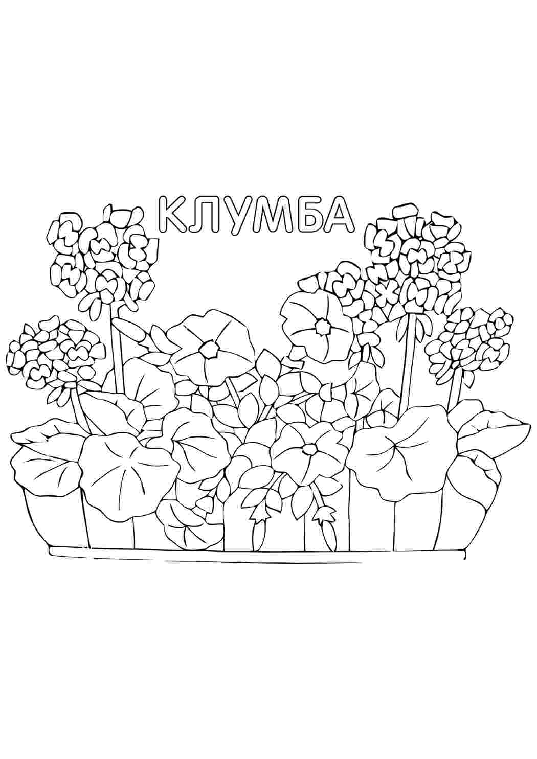 Раскраска Клумба природа. Онлайн розмальовка.