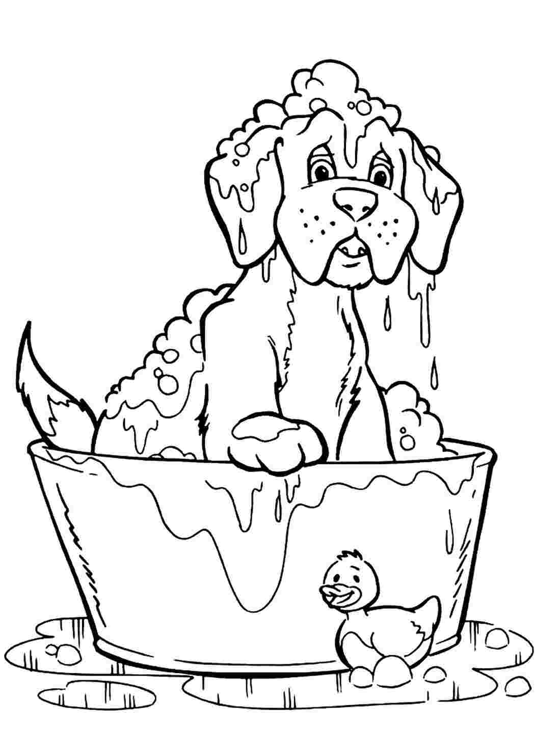 Раскраска Розфарбунки тварин розмальовка собака для дітей. Розмальовка без реєстрації.