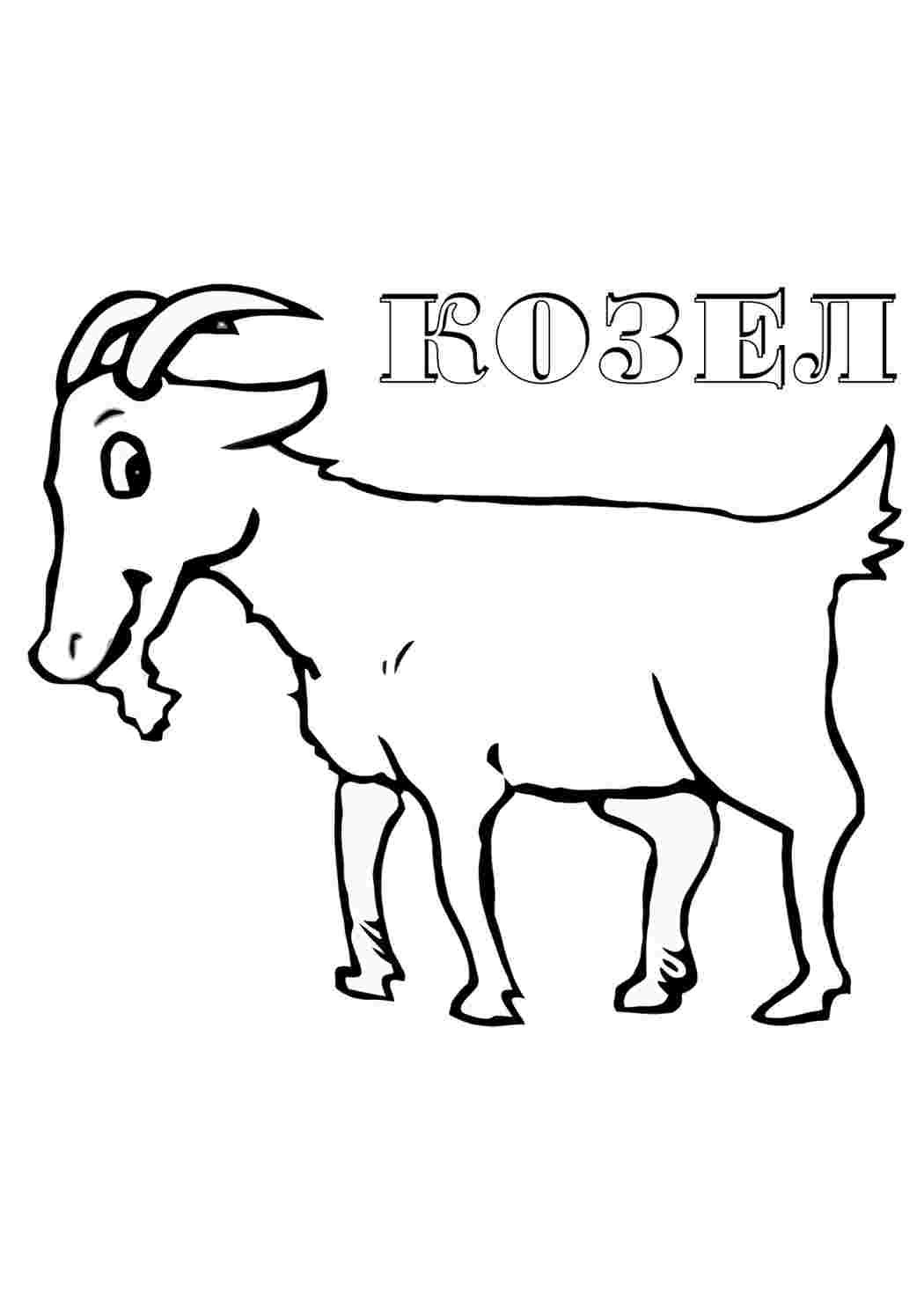 Раскраска козел. Розмальовка без реєстрації.