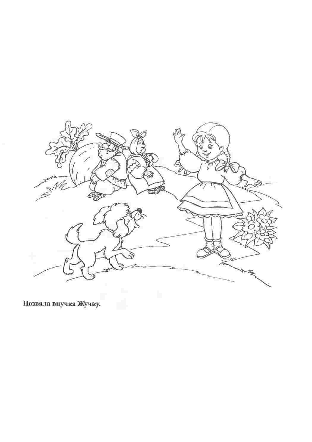 Раскраска Репка. Казки. Розмальовка.