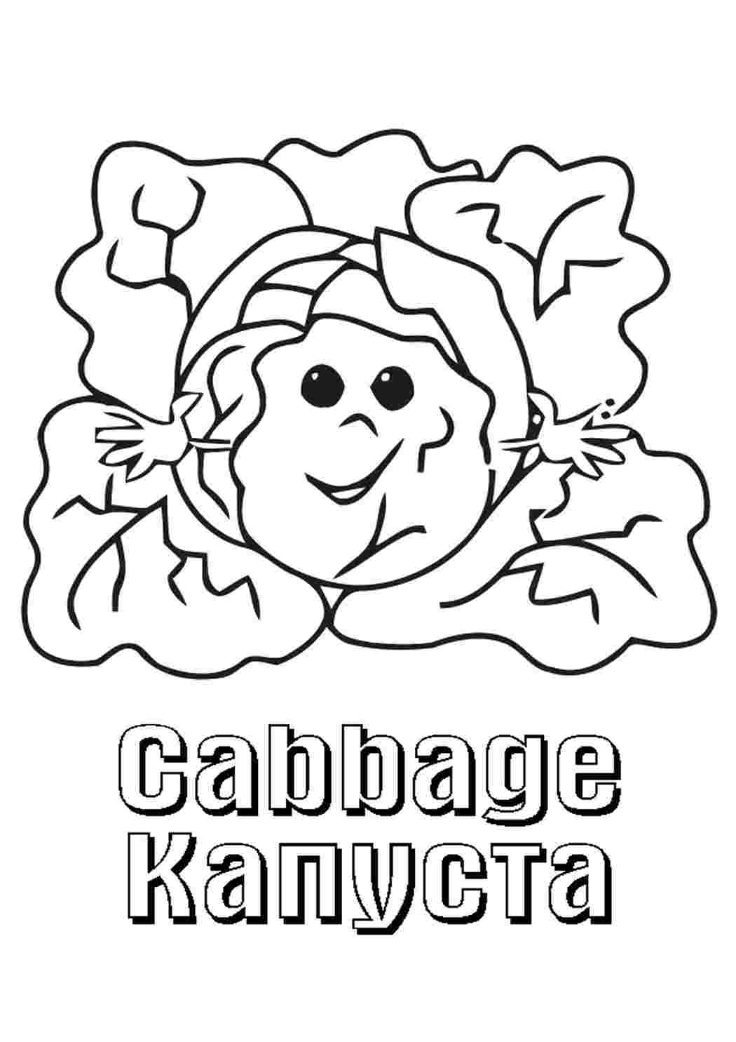 Раскраска Капуста їжа. Гарні розмальовки.