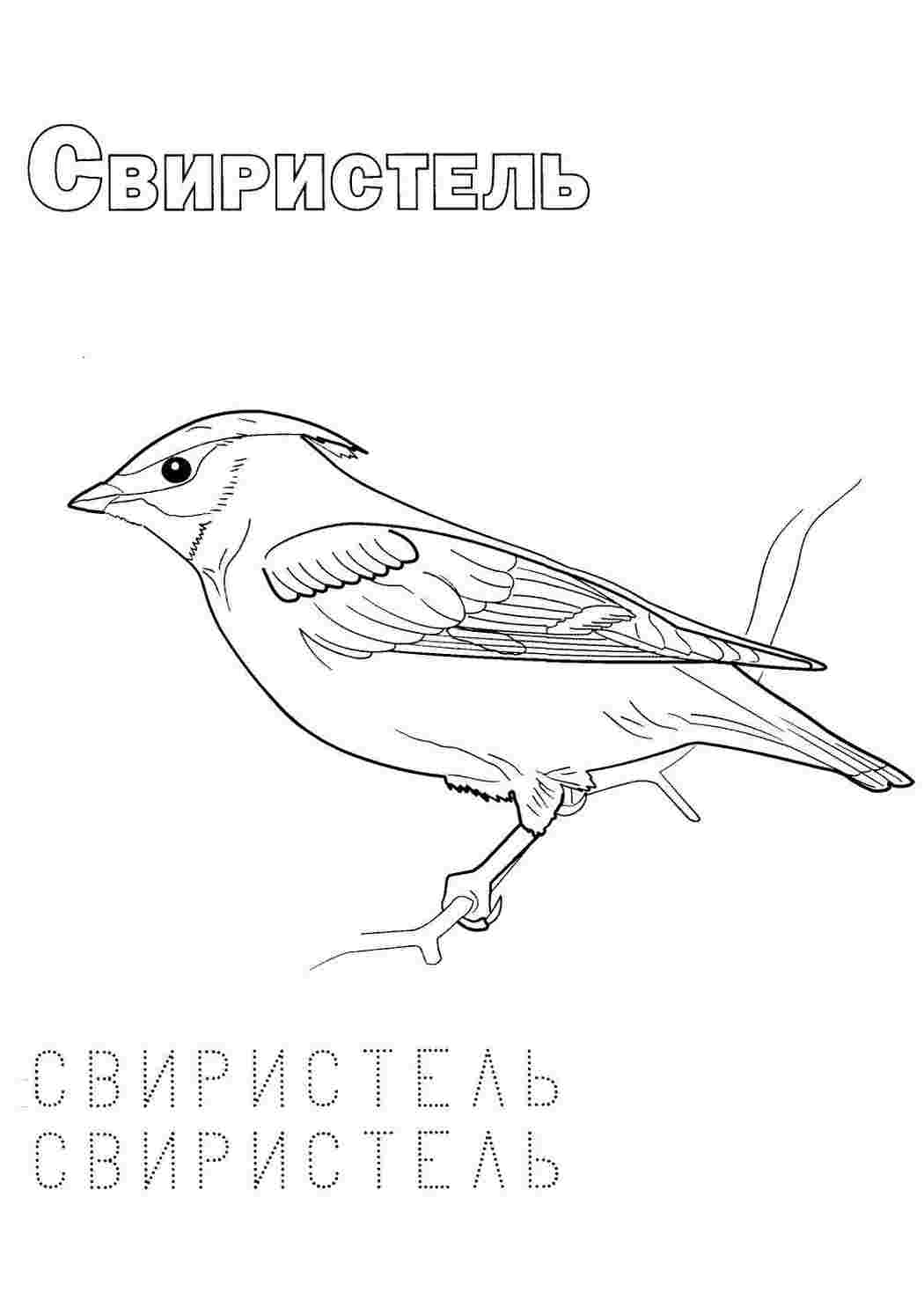 Раскраска Розфарбунки тварин. Гарні розфарбунки.