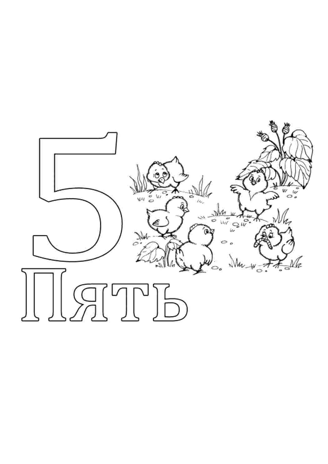 Раскраска Розфарбунки букви цифри алфавіт розмальовка цифра 5. Безкоштовні розфарбунки.