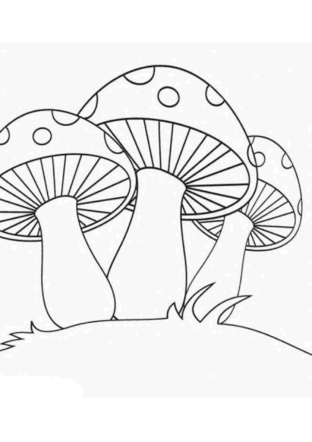 Раскраска Мухомори. Роздрукувати розмальовки.