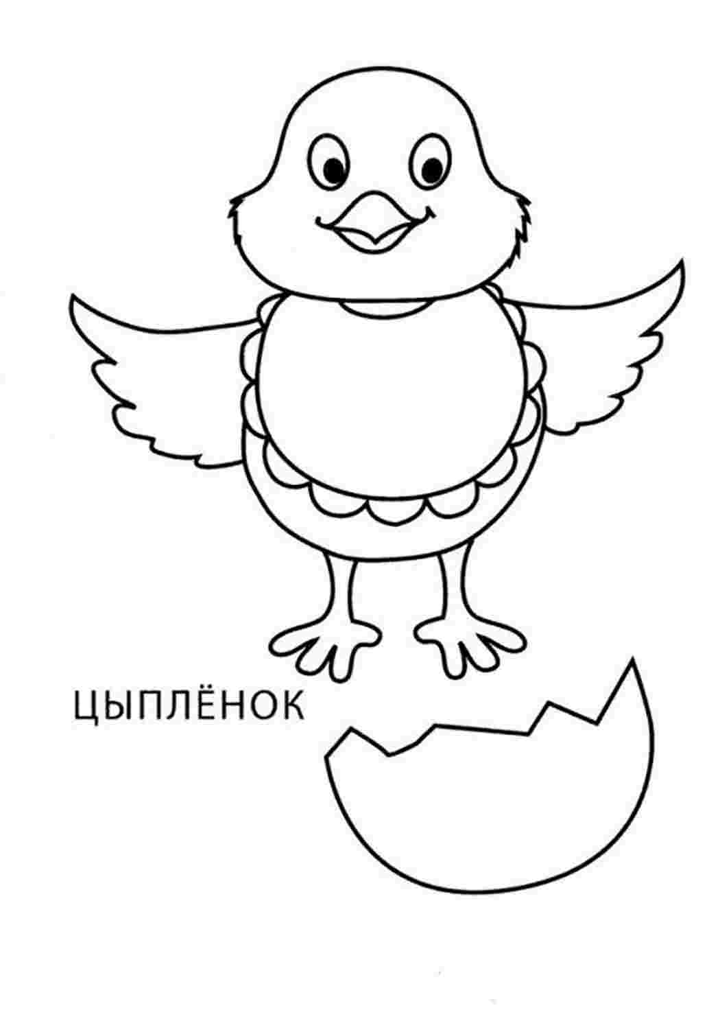 Раскраска Розфарбунки тварини. Картинки для розфарбовування.