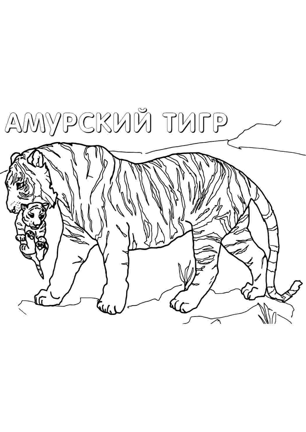 Раскраска Розфарбування Червона книга. Онлайн розмальовки.