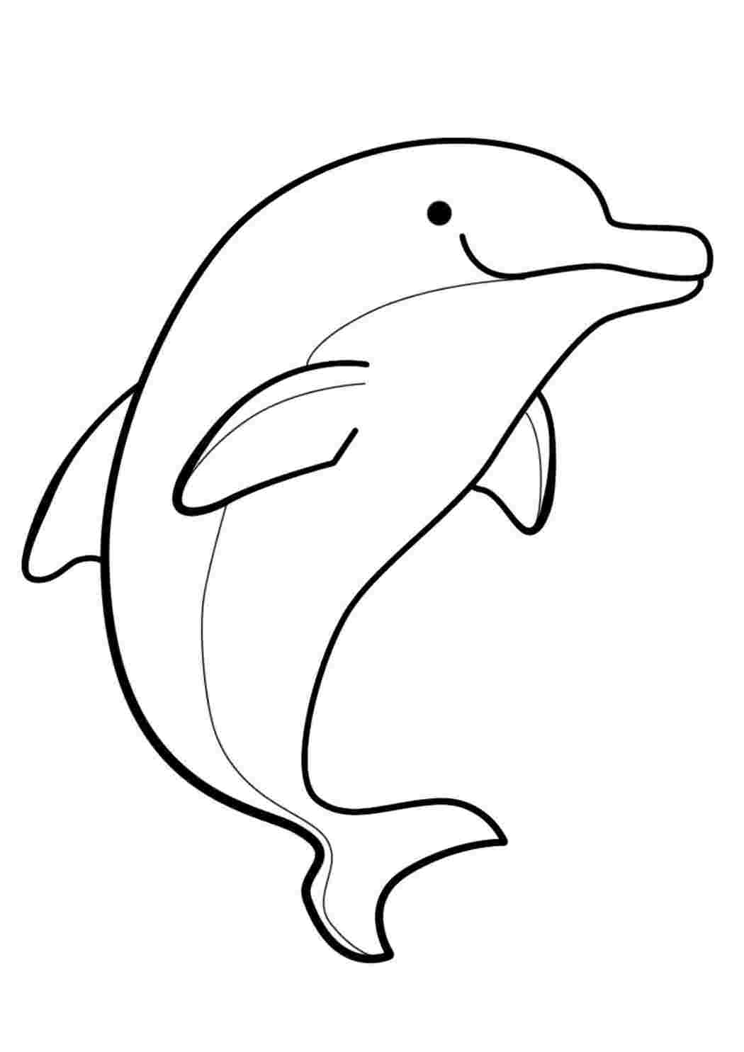 Раскраска Розфарбування тварини дельфін. Розфарбунок.