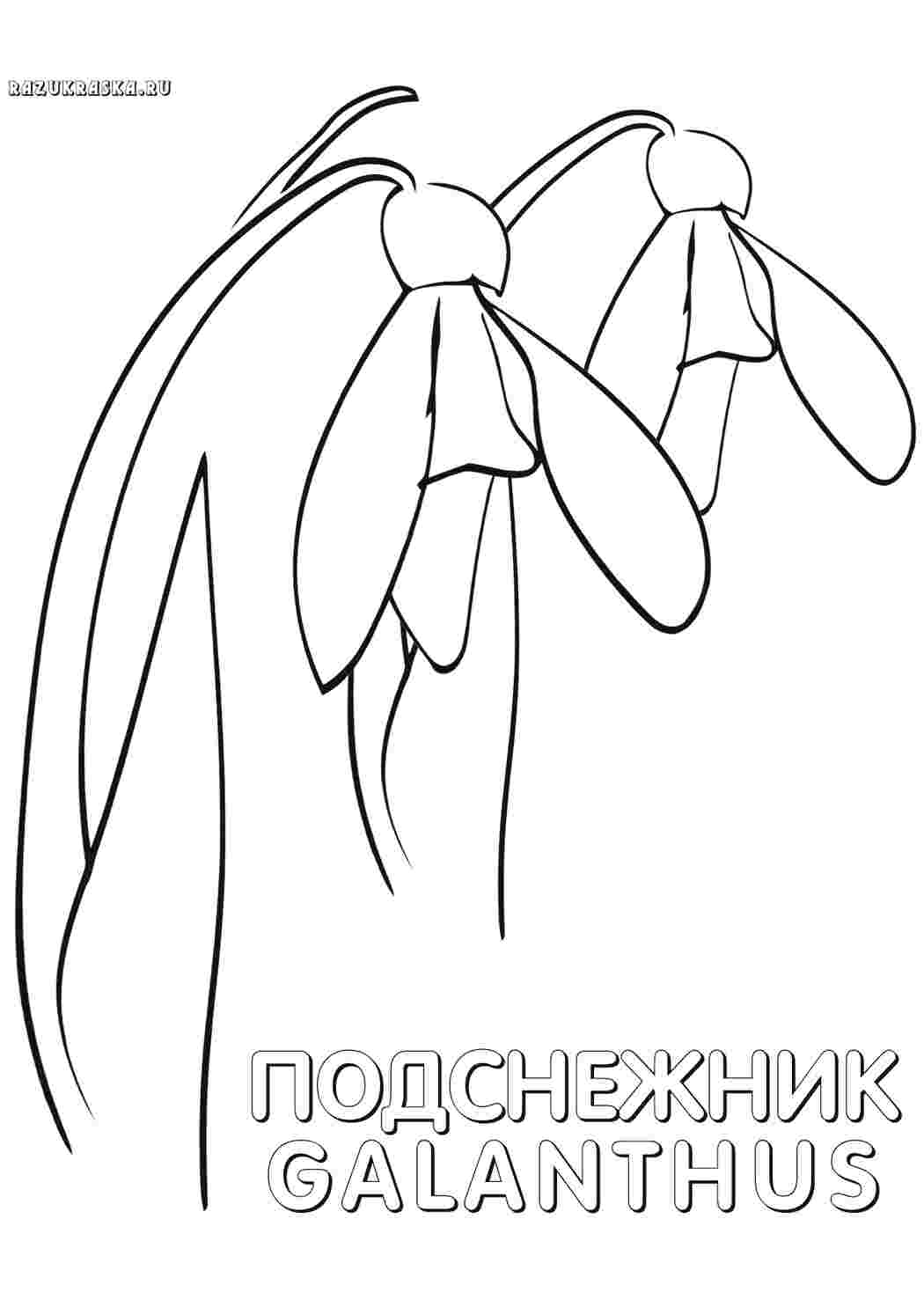 Раскраска сніжинка природа. Розмальовки без СМС.