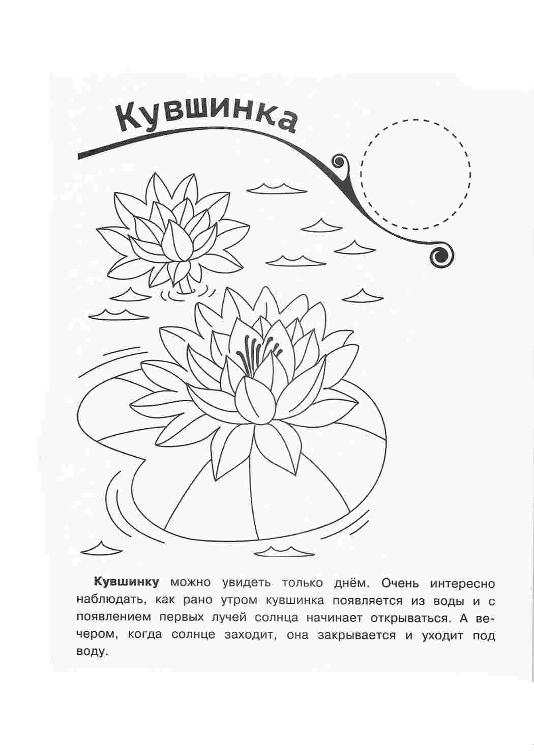 Раскраска Розфарбунки природа розмальовка став. Розмальовки без СМС.
