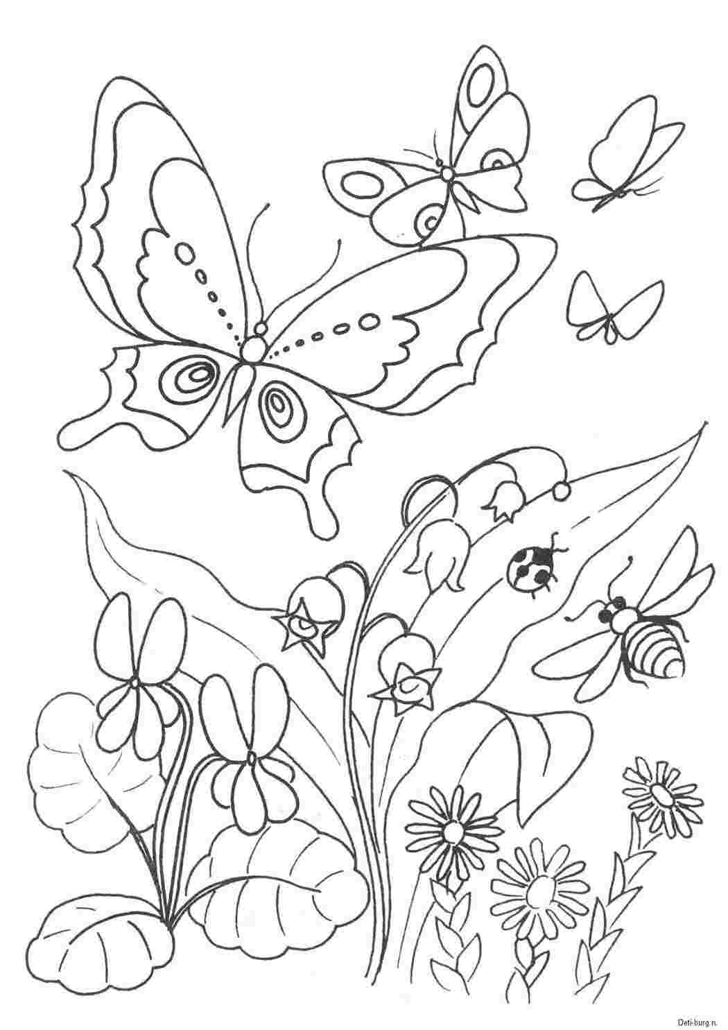 Раскраска Метелики. Завантажити розмальовки.