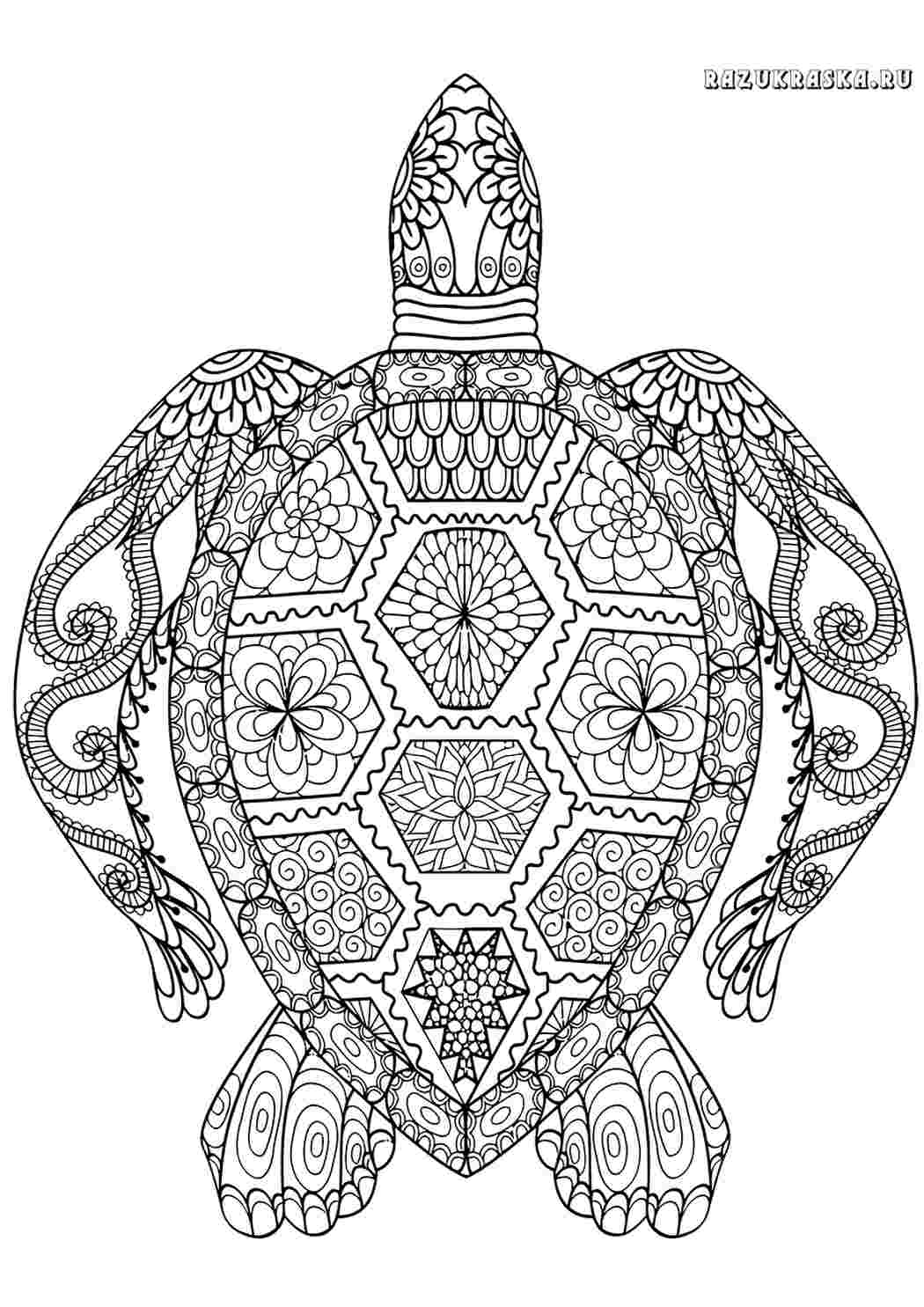 Раскраска Антистрес. Розмальовка.