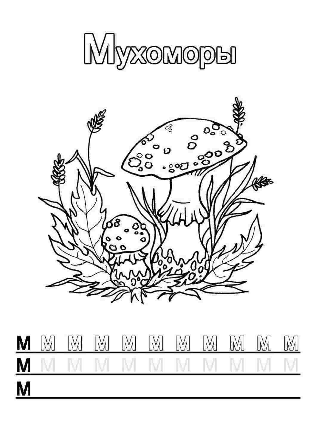 Раскраска Літера М з мухоморами. Роздрукувати розмальовки на сайті.