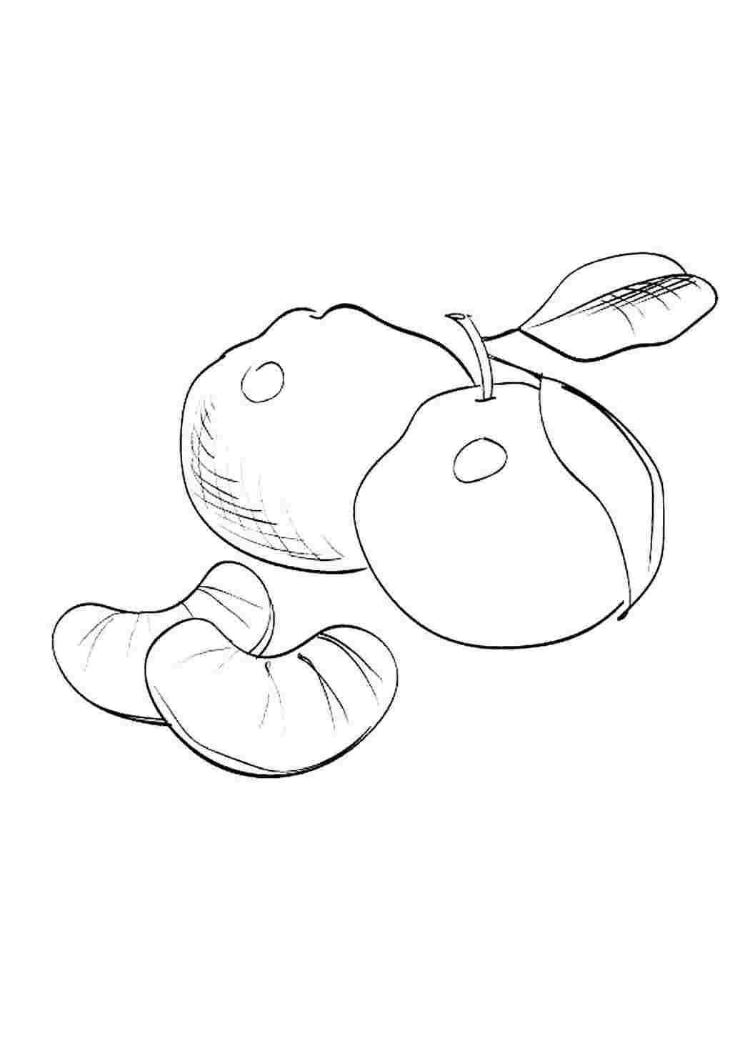 Раскраска Розфарбування мандарин. Навчальні розфарбування.