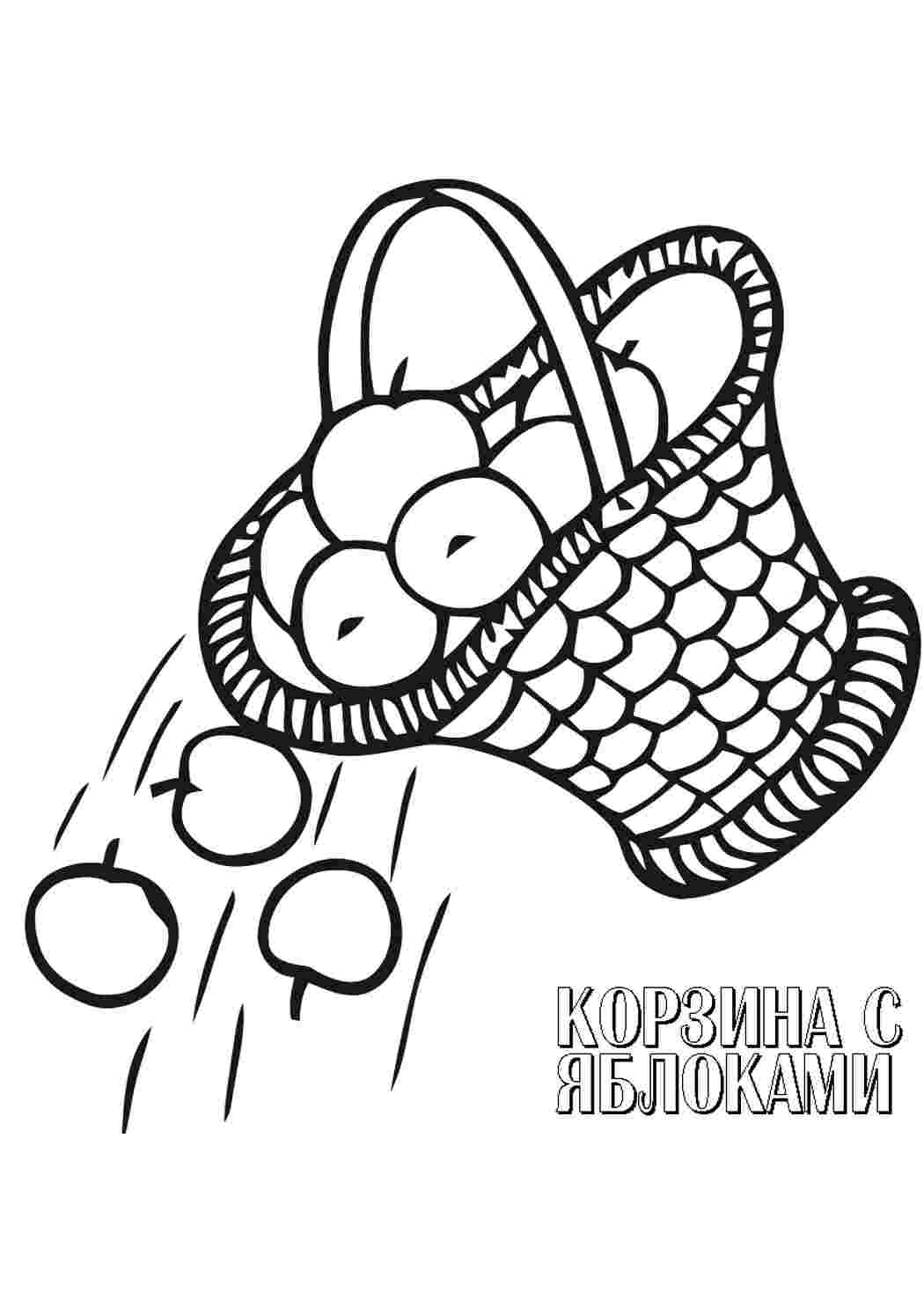 Раскраска Кошик. Розмальовка для друку.