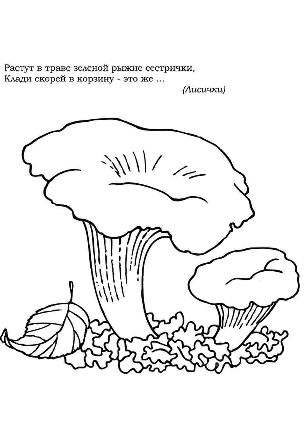 Раскраска Розфарбування лисички. Розфарбування у форматі А4.