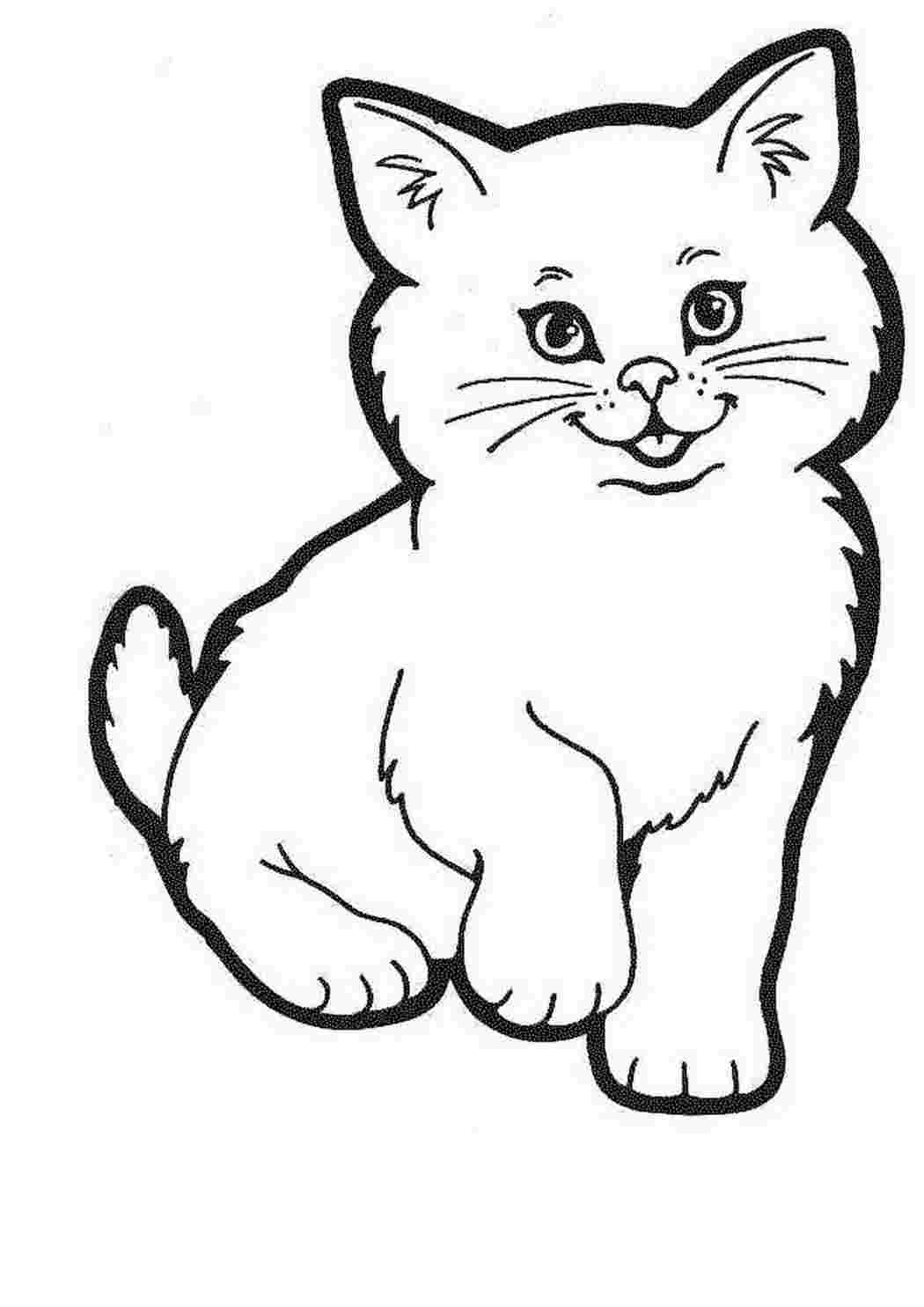 Раскраска Котик. Гарні розмальовки.