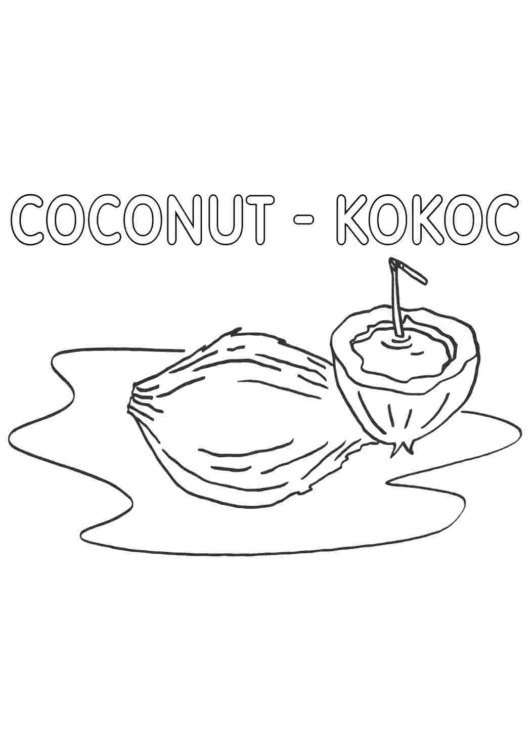 Раскраска Кокос природа. Розмальовка для друку.