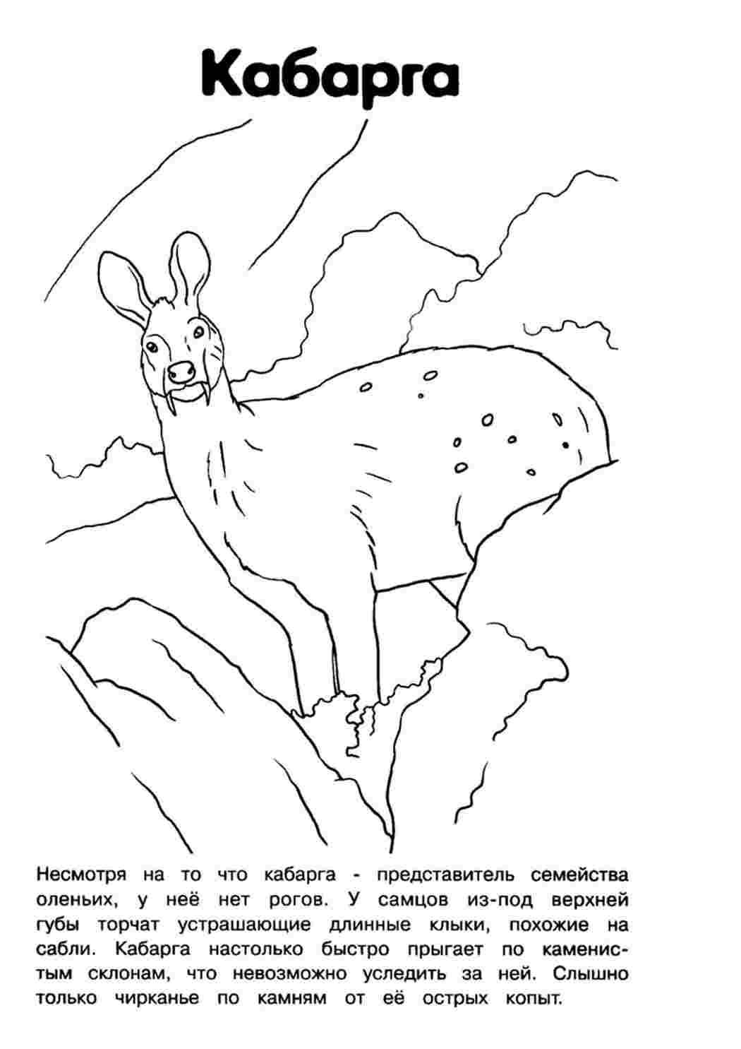 Раскраска Розфарбування Червона книга. Розфарбування без реєстрації.