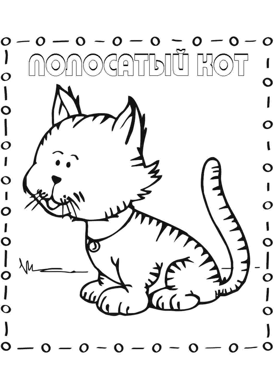 Раскраска Котик. Розмальовки для розвитку.