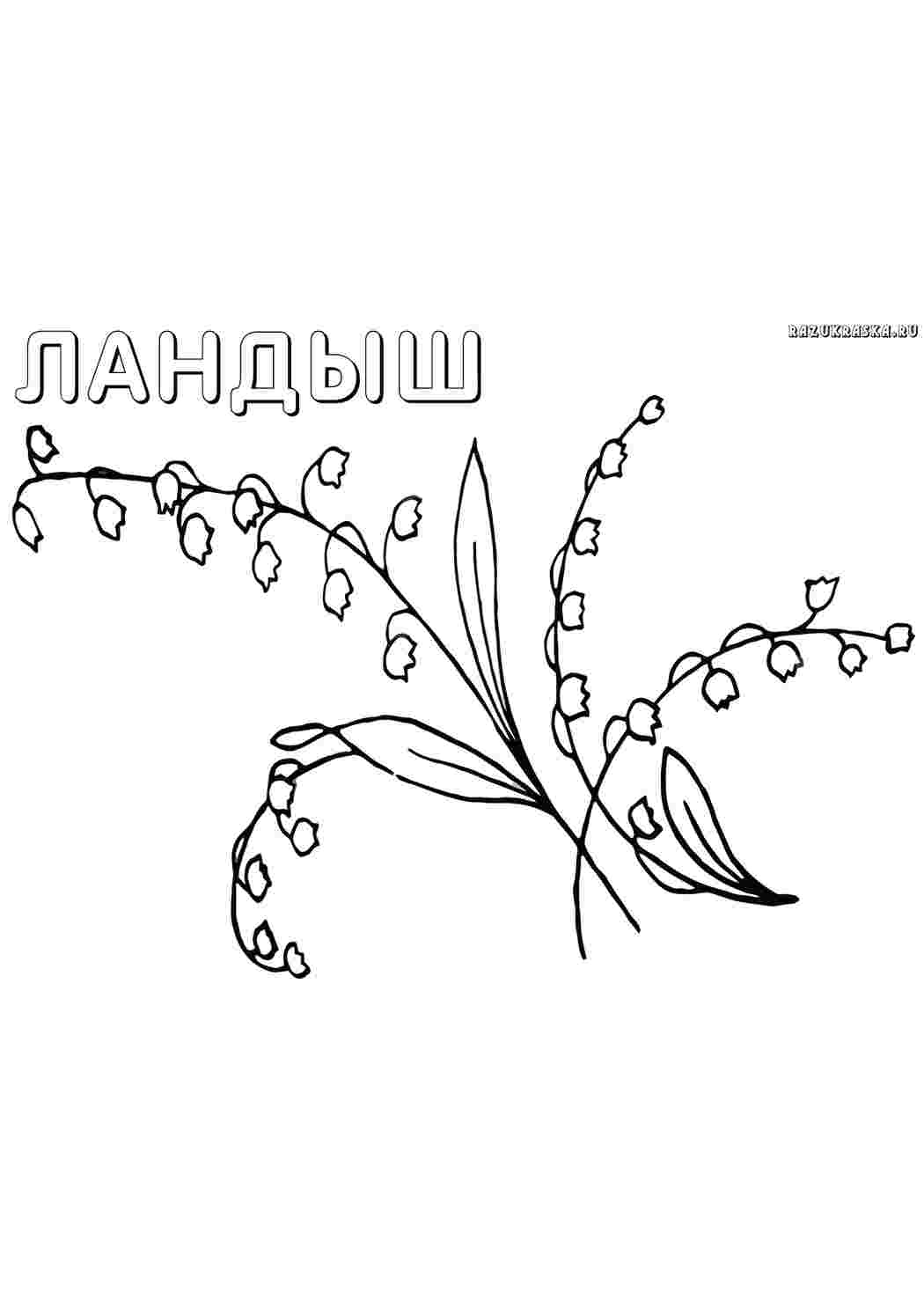 Раскраска Природа. Розмальовки без СМС.