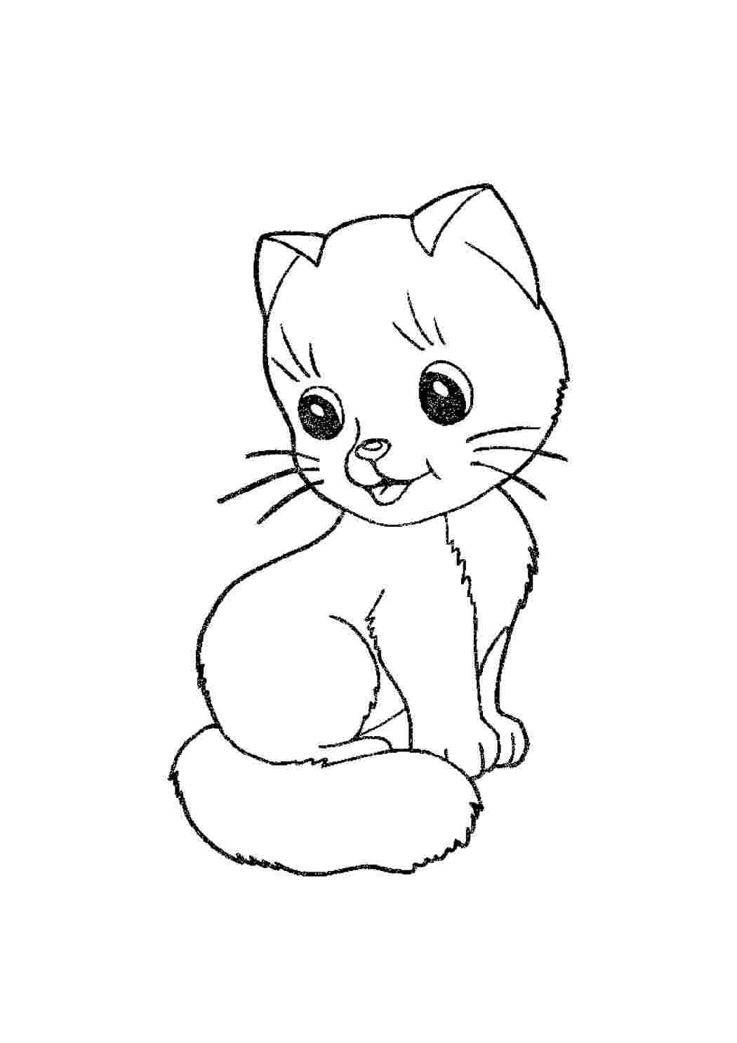 Раскраска Кошеня. Розмальовки.