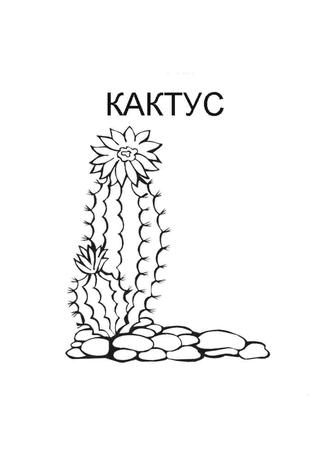 Раскраска кактус. Розмальовки для розвитку.