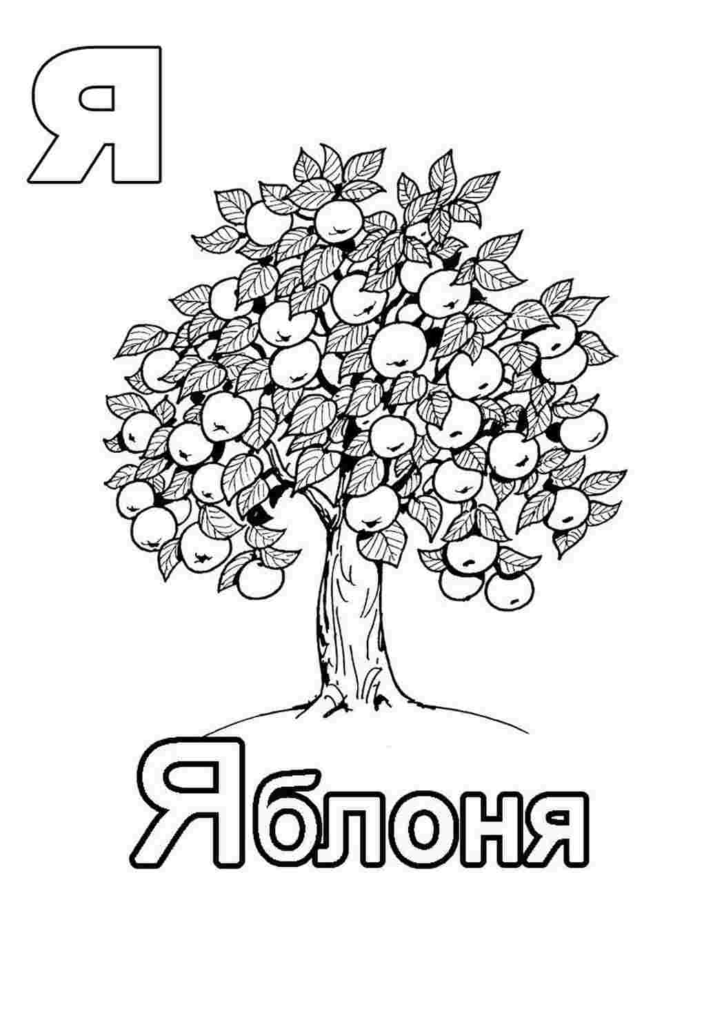Раскраска Розфарбунки букви цифри алфавіт розмальовка буква я. Розфарбунки для розвитку.