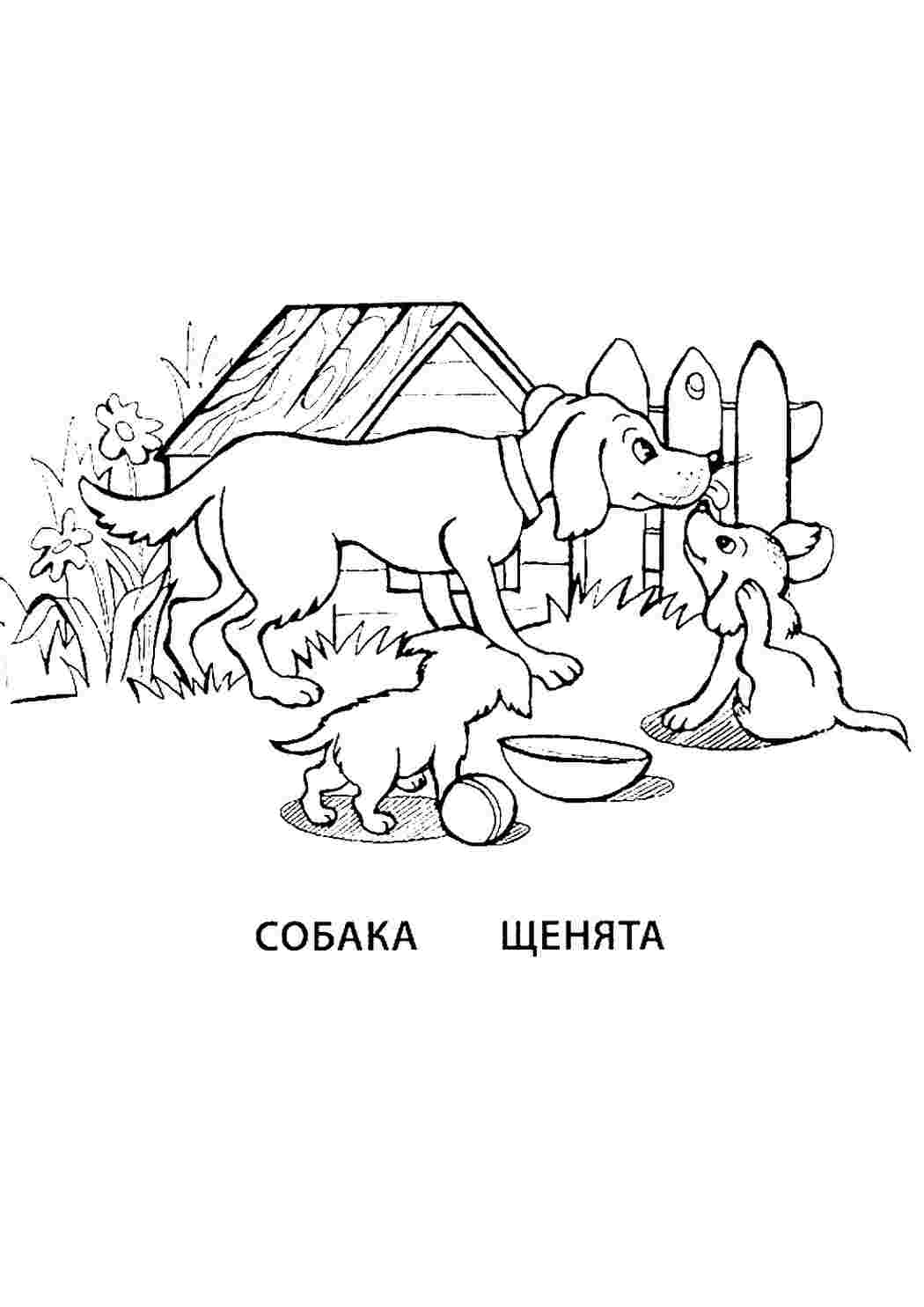 Раскраска Розфарбування Розфарбування собака і цуценя роздрукувати. Розмальовка.