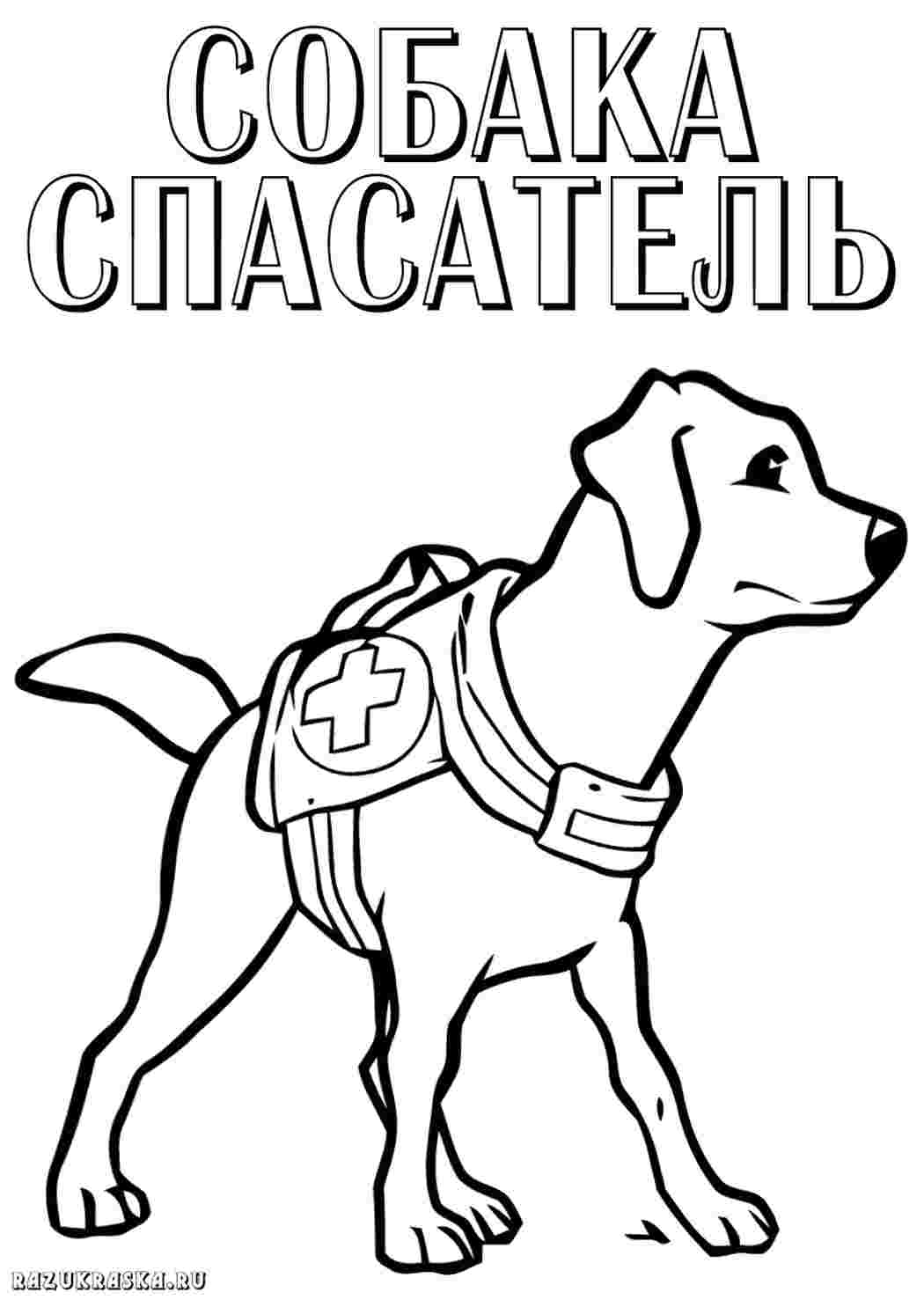 Раскраска Собака. Друкує розка́рку.